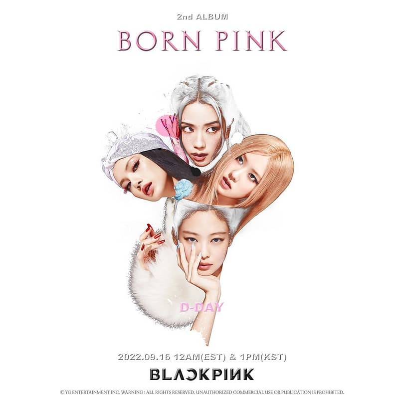 Blackpink Born Pink Artwork